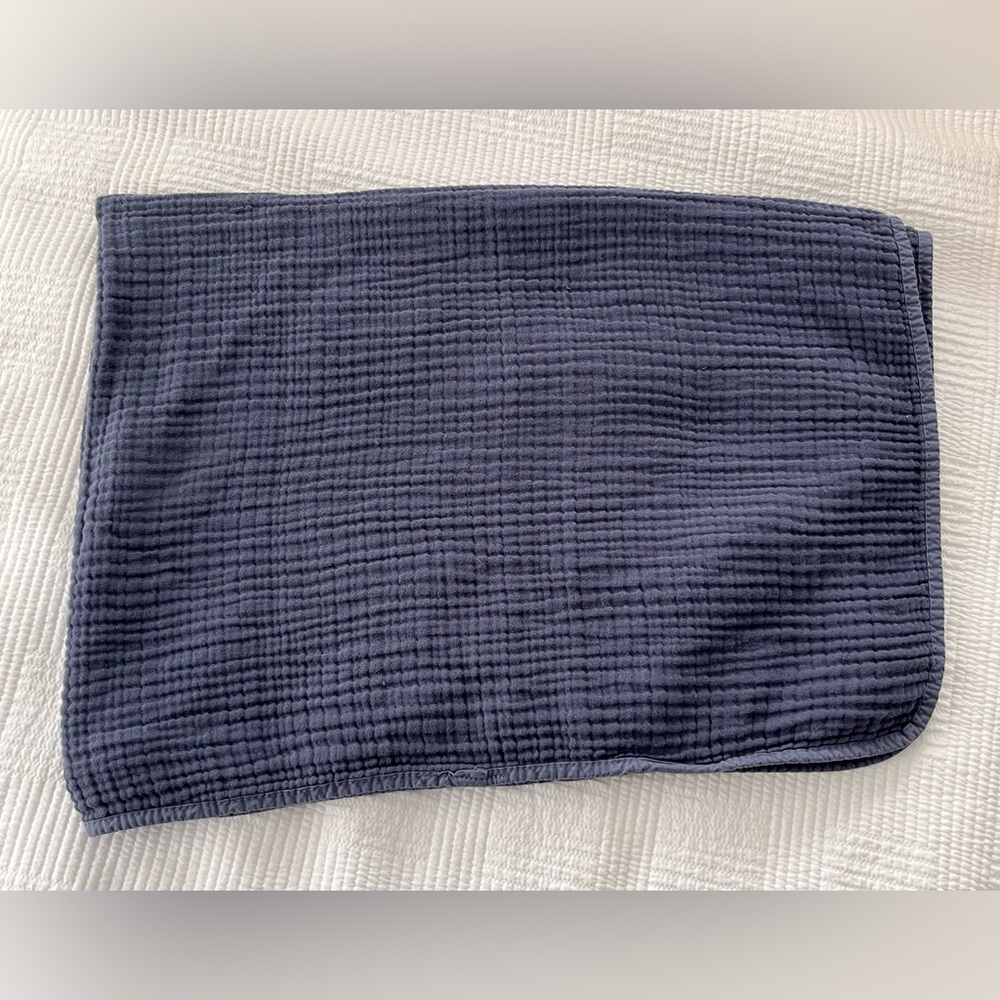 Pottery Barn Kids Organic Cotton Baby Blanket